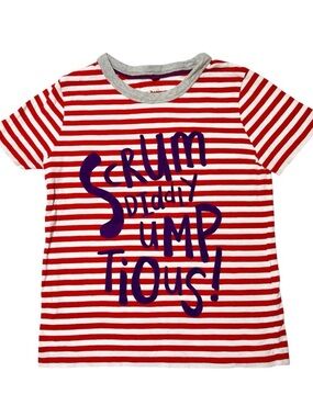 Mini Boden | Roald Dahl | Willy Wonka Inspired | 4-5